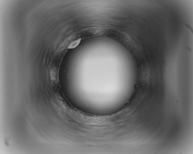 X0000100340044200806051549