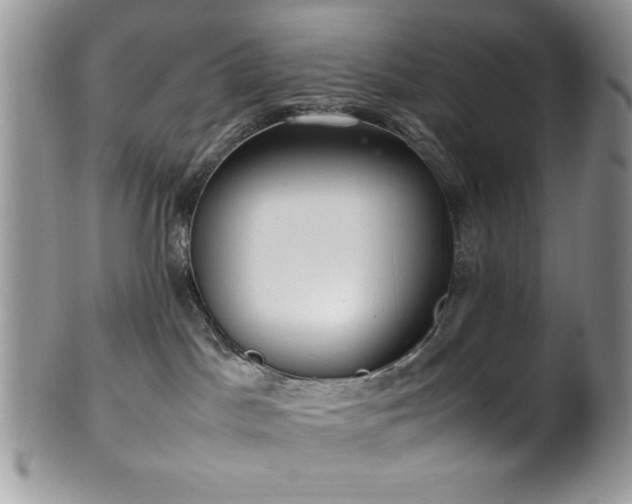X0000100340045200806051549