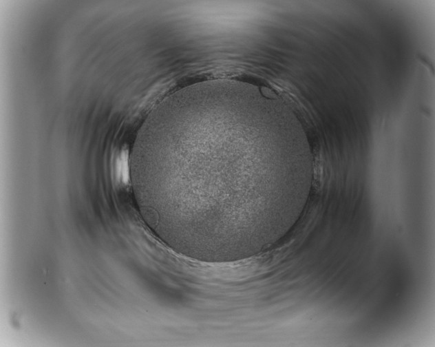 X0000100340046200806051549