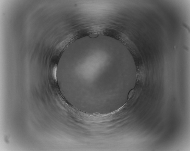 X0000100340047200806051549