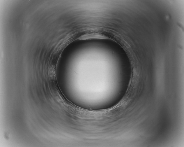 X0000100340048200806051549