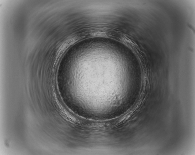 X0000100340049200806051548