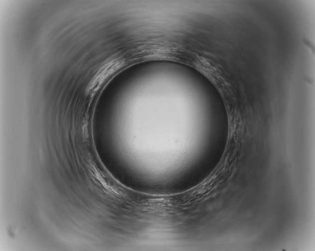X0000100340050200806051548