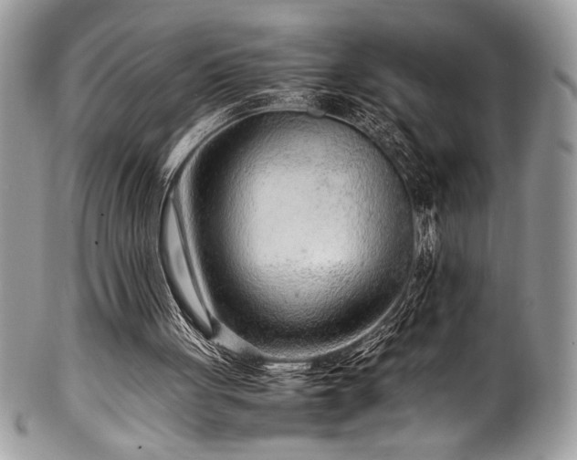 X0000100340051200806051548