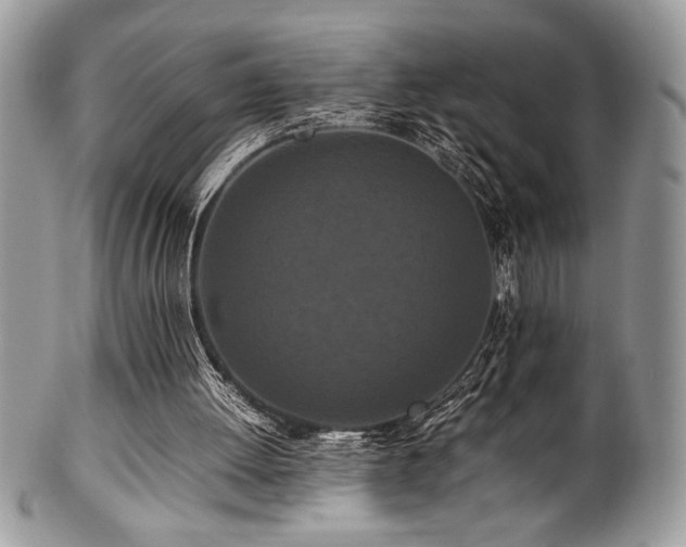 X0000100340052200806051548