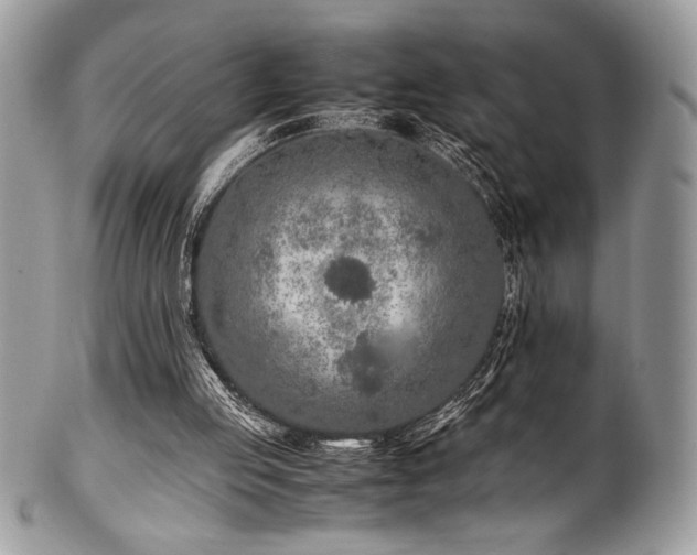 X0000100340053200806051548