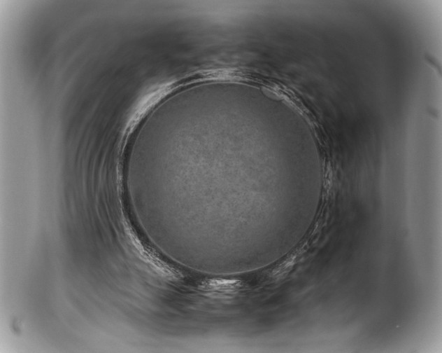 X0000100340055200806051548