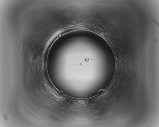 X0000100340056200806051548