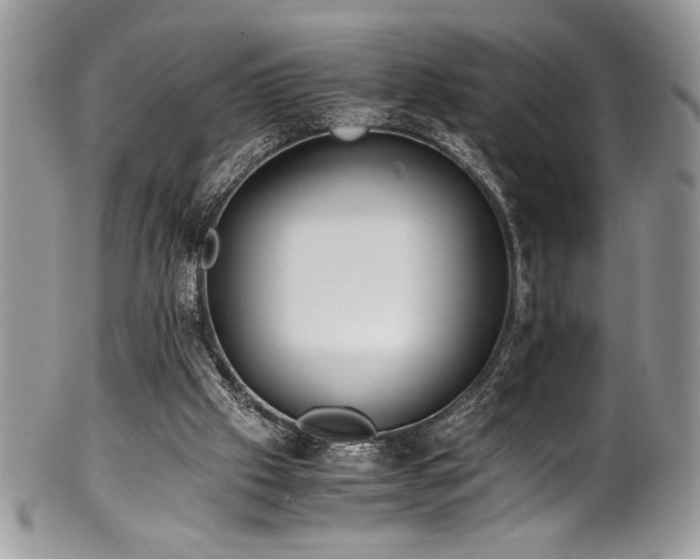 X0000100340057200806051548