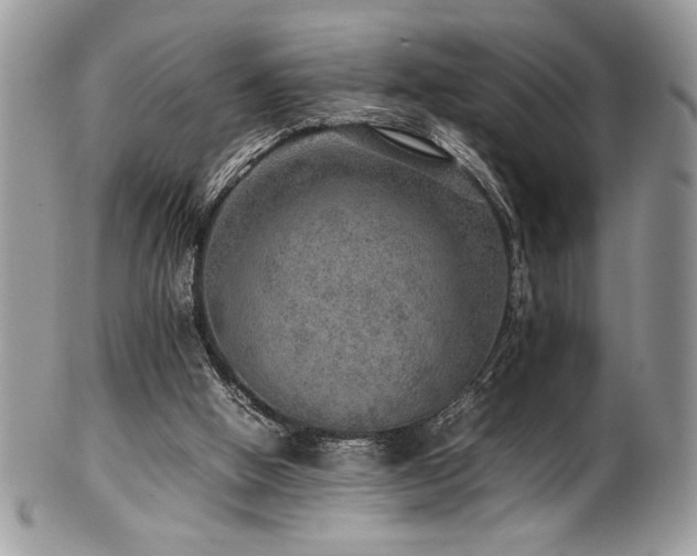 X0000100340058200806051548