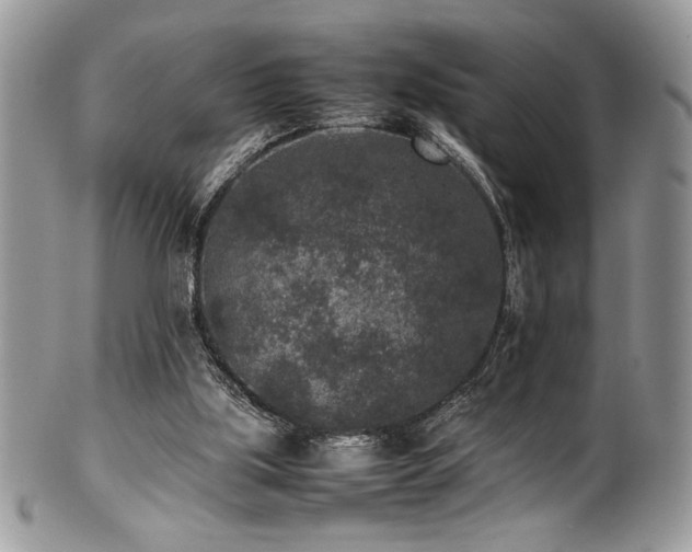 X0000100340059200806051548