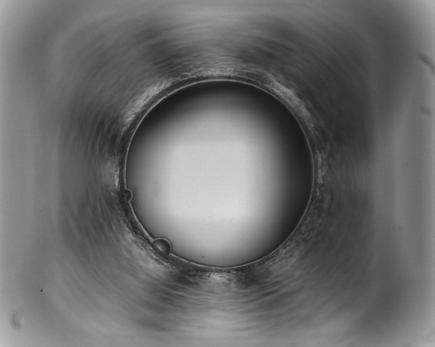 X0000100340060200806051548