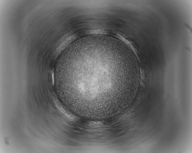 X0000100340061200806051548