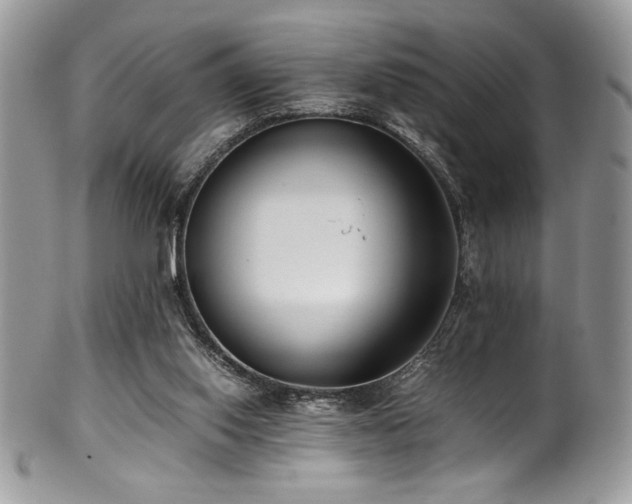 X0000100340062200806051548