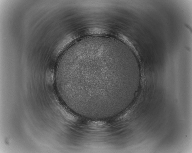 X0000100340063200806051548