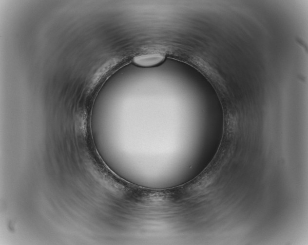 X0000100340064200806051548
