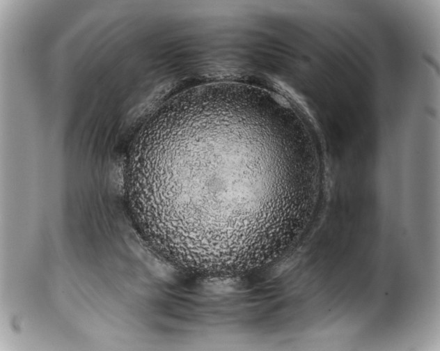 X0000100340065200806051548