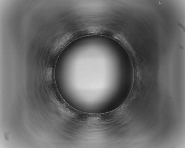 X0000100340066200806051548