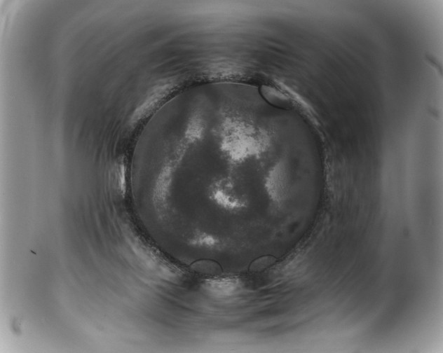 X0000100340067200806051548