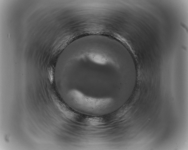 X0000100340069200806051548