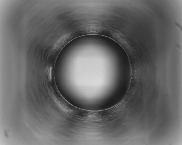 X0000100340070200806051548