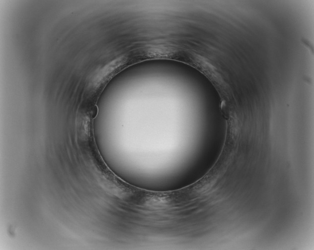 X0000100340071200806051548
