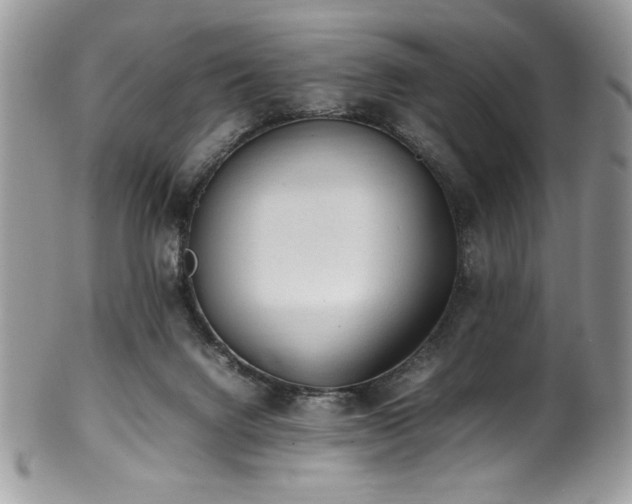 X0000100340072200806051548