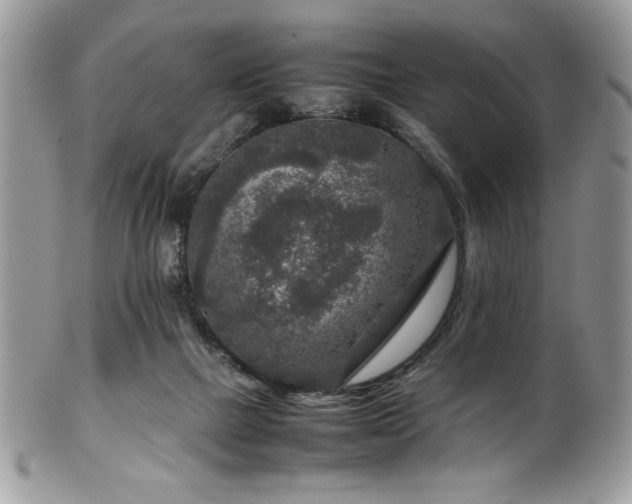 X0000100340073200806051548