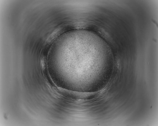 X0000100340074200806051548