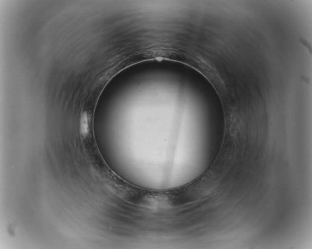 X0000100340075200806051548