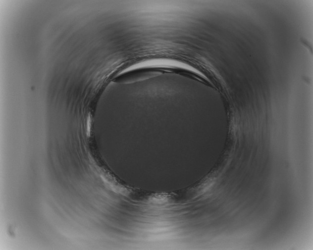 X0000100340076200806051548