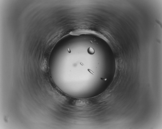 X0000100340077200806051548