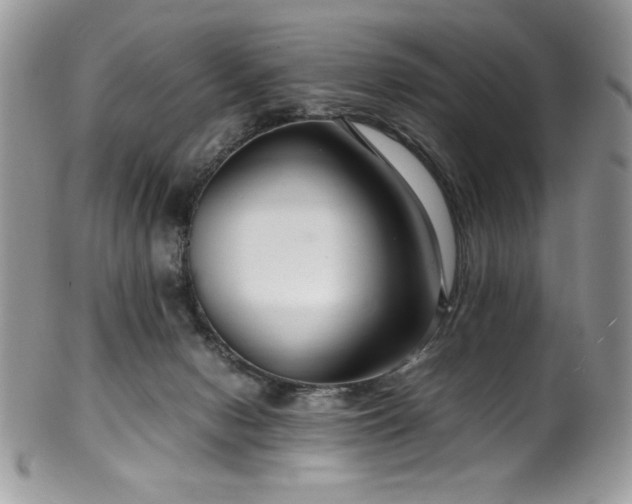 X0000100340078200806051548