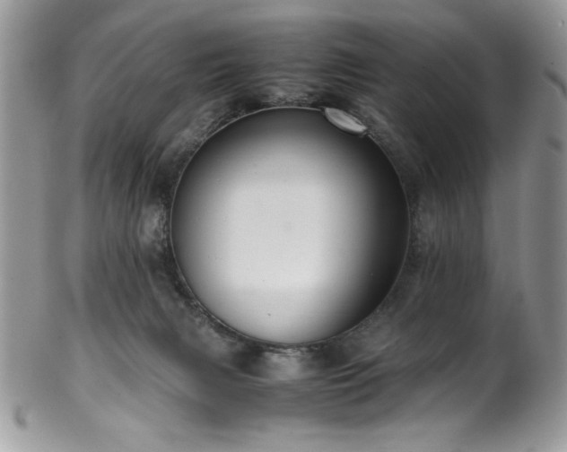 X0000100340079200806051548