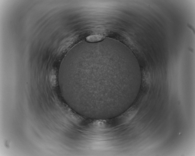X0000100340080200806051548