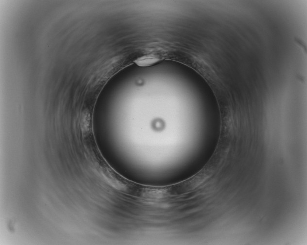X0000100340081200806051548
