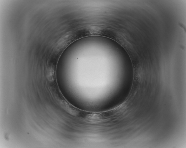 X0000100340082200806051548