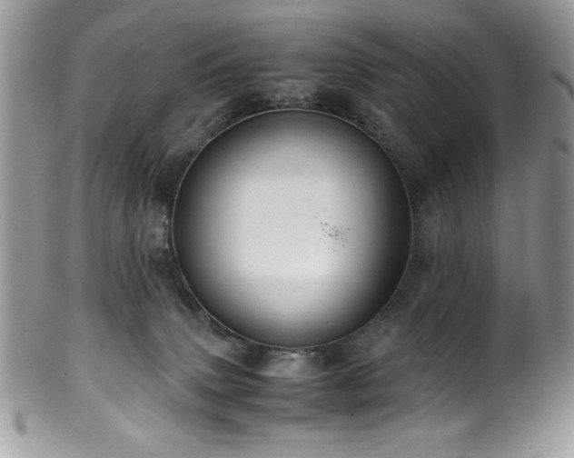 X0000100340083200806051548