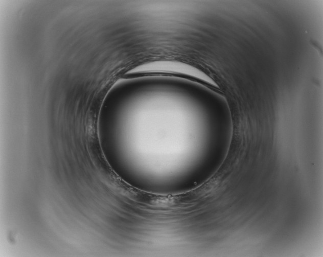 X0000100340084200806051548