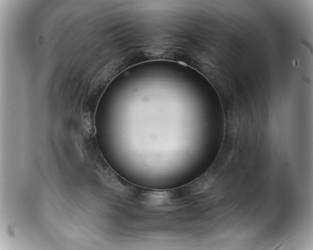 X0000100340085200806051548