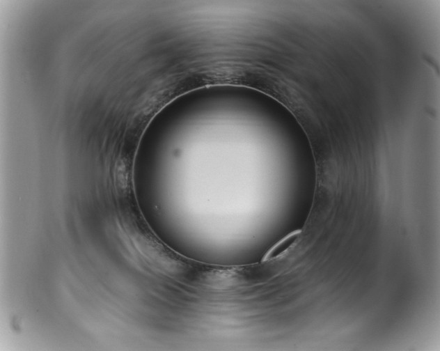 X0000100340086200806051548