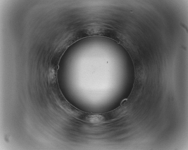 X0000100340087200806051548