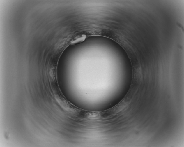 X0000100340088200806051548