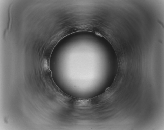 X0000100340089200806051548