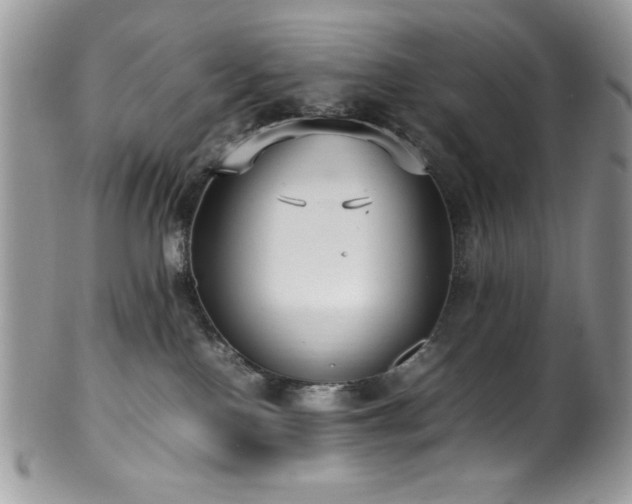 X0000100340090200806051549
