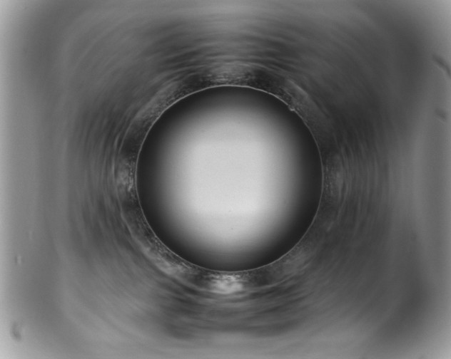 X0000100340091200806051549