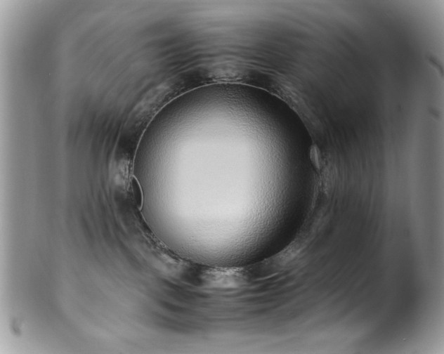 X0000100340093200806051549