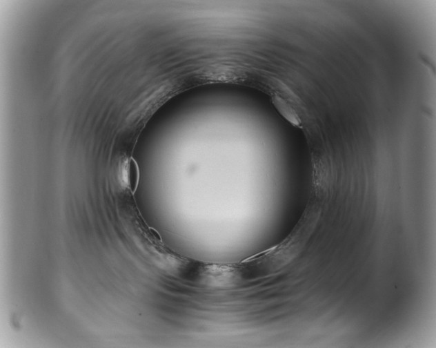 X0000100340095200806051549