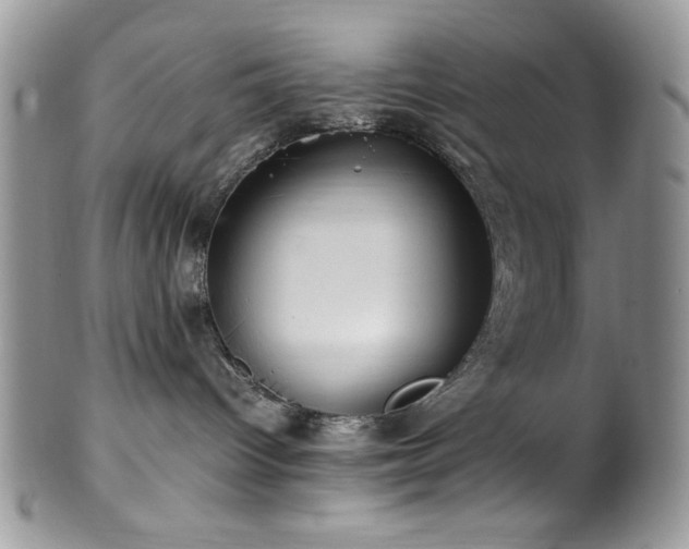 X0000100340096200806051549