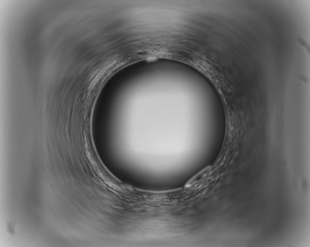 X0000100340097200806051548